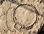 www.frontiersin.org