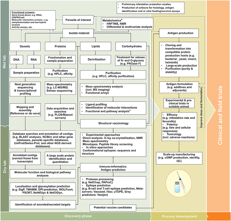 Frontiers | Metazoan Parasite Vaccines: Present Status and Future Prospects