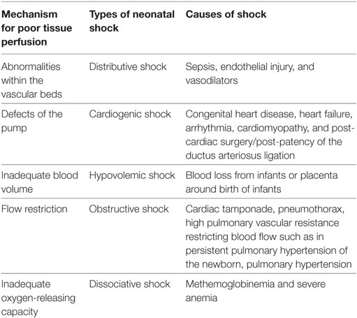 Frontiers  Hemodynamic and Metabolic Assessment of Neonates With