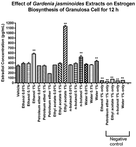 organization chart of gardenia company