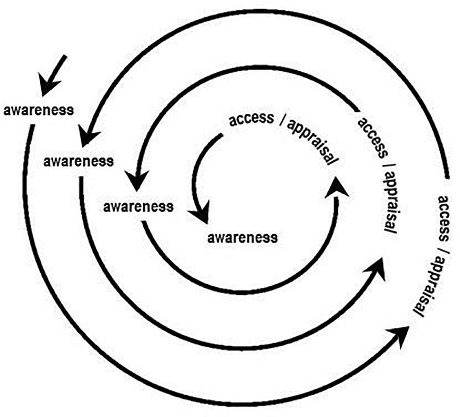 Cognitive Appraisal Theory Of Emotion Flow Chart