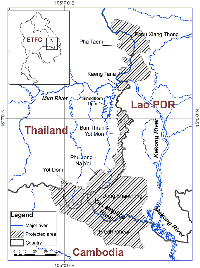 www.frontiersin.org