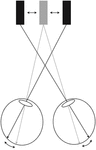 www.frontiersin.org