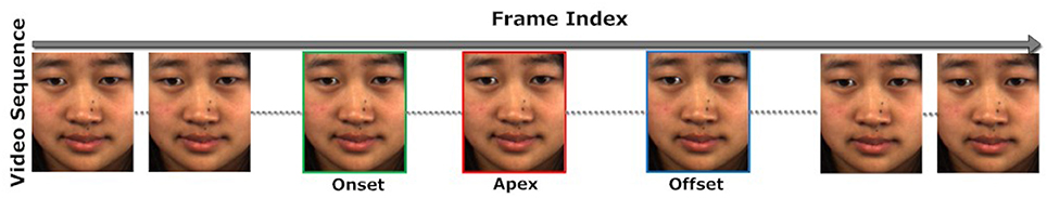 Lie To Me Micro Expressions Chart