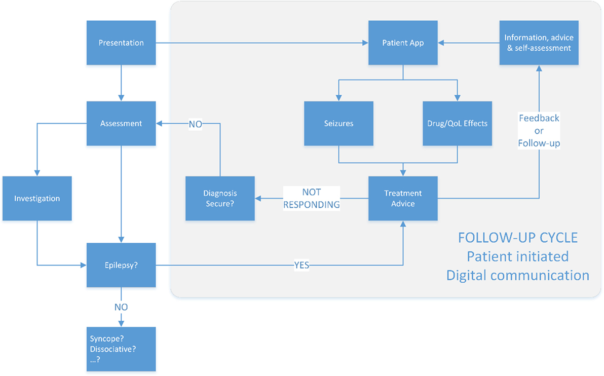 Frontiers Digital Care In Epilepsy A Conceptual Framework For