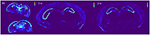 www.frontiersin.org