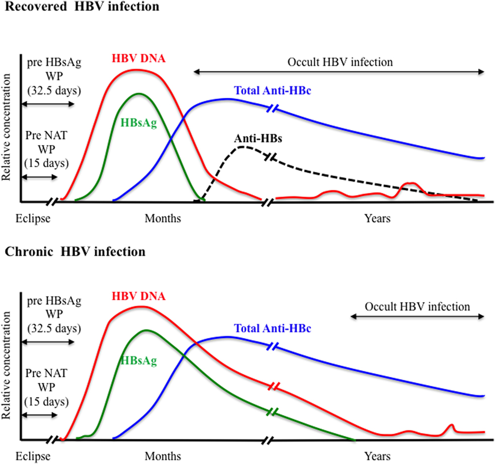 Chronic Chart