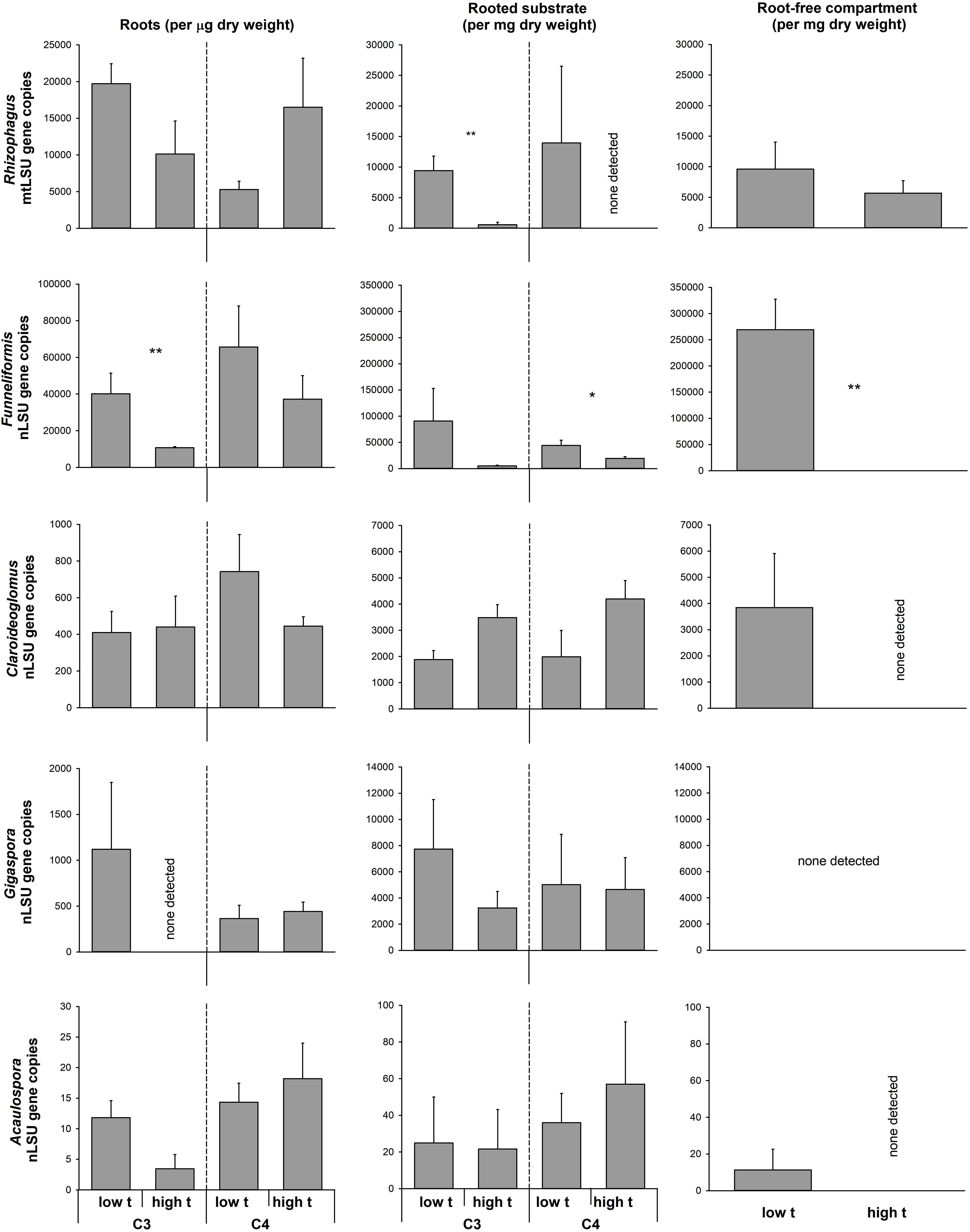 Great White Mycorrhizae Feeding Chart