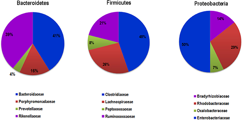 www.frontiersin.org