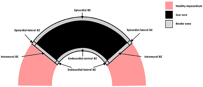 www.frontiersin.org