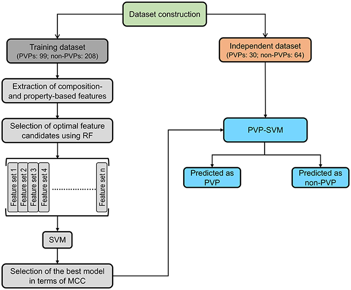 Frontiers Pvp Svm Sequence Based Prediction Of Phage Virion Proteins Using A Support Vector Machine Microbiology