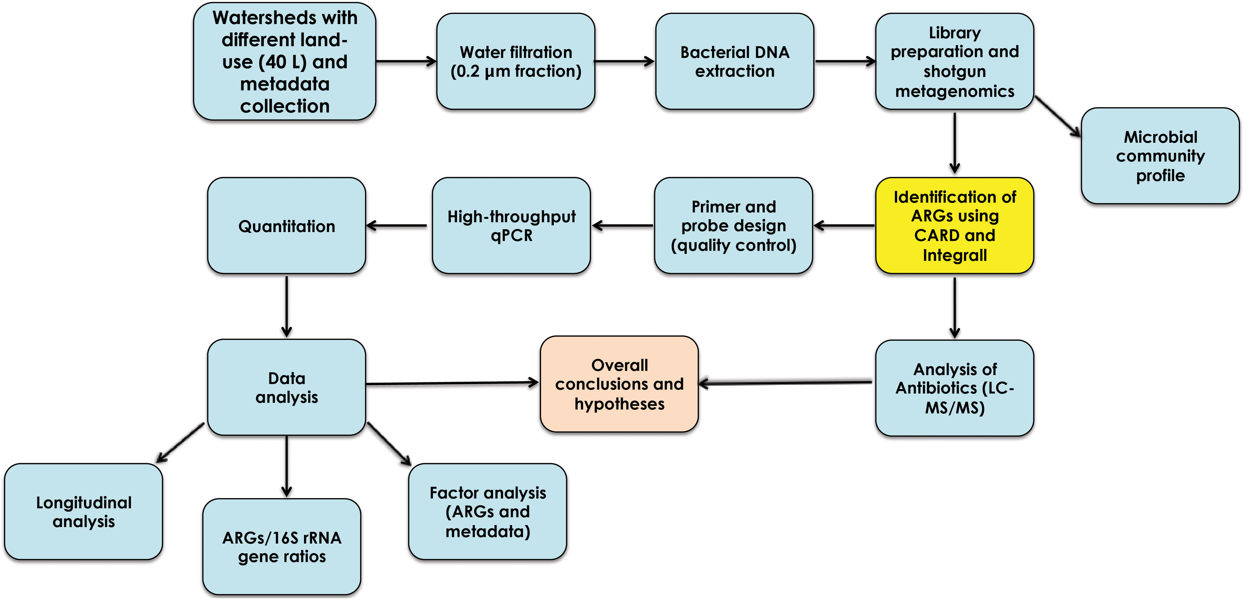 Antibiotic Families Chart