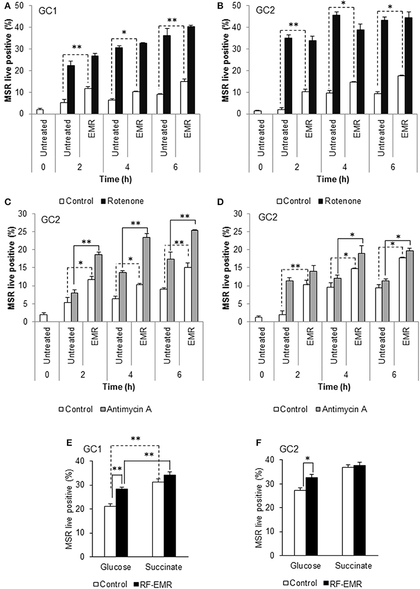 Long-term exposure to 835 MHz RF-EMF induces hyperactivity