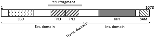 www.frontiersin.org