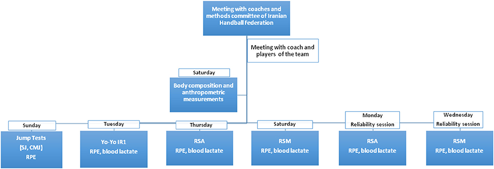 Frontiers | Multi Directional Repeated Sprint Is a Valid Reliable Test Assessment of Junior Handball Players | Physiology