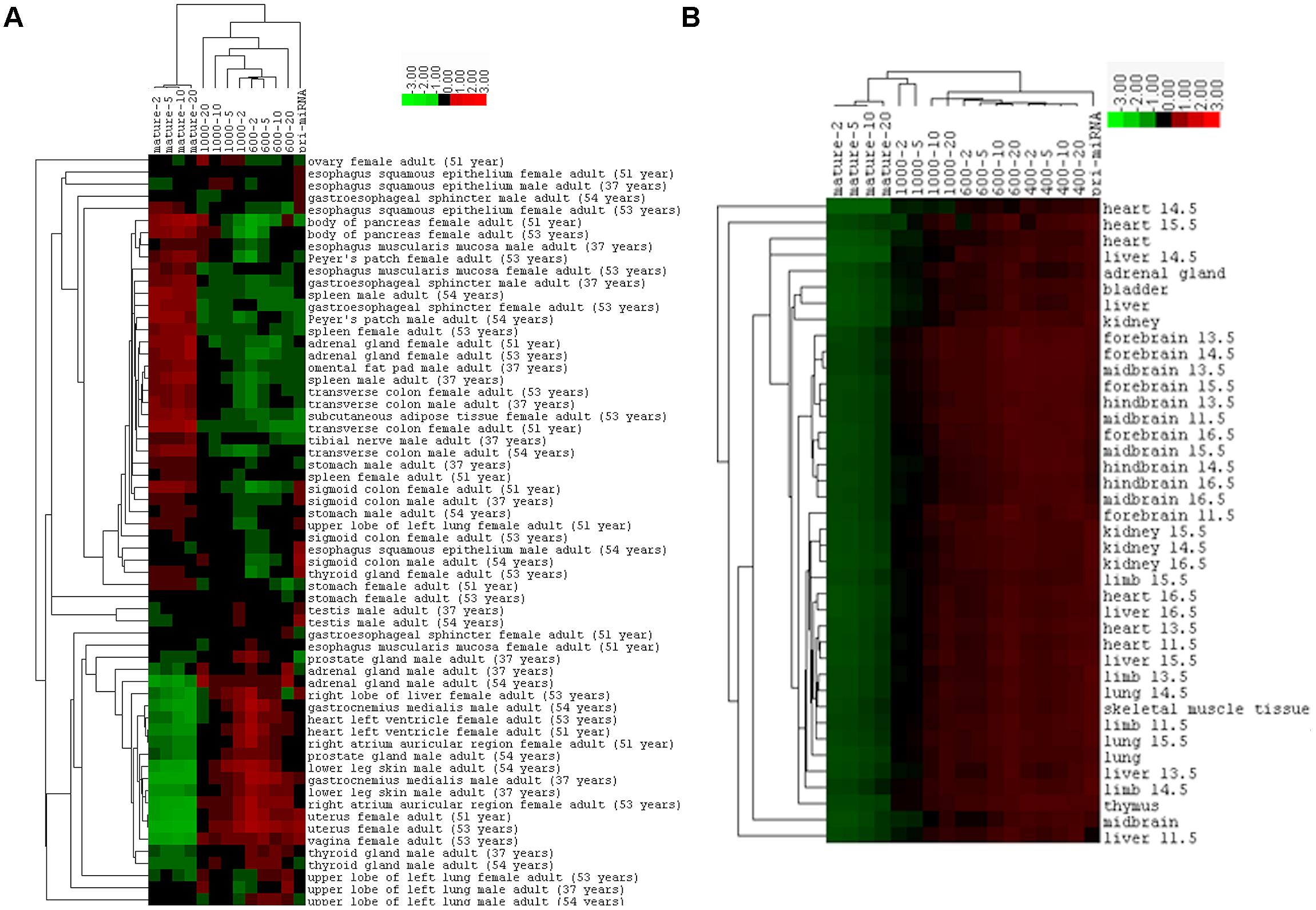 Frontiers | Correlation Analyses Reveal a Limited Role of