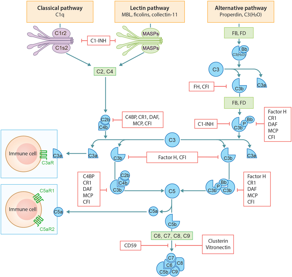 read la transformation de weyl et la fonction de wigner une forme alternative de