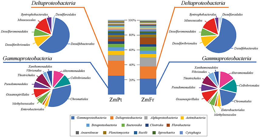 Frontiers  Decoding the microbial universe with metagenomics: a brief  insight