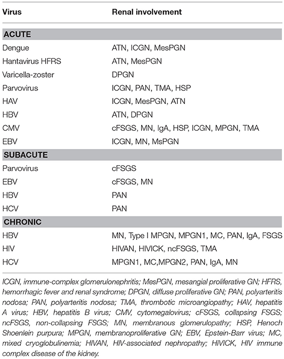Frontiers Infection Induced Kidney Diseases Medicine