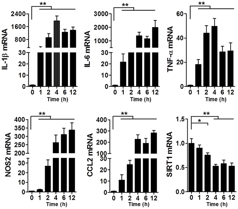 Frontiers | Acetylation-Dependent Regulation of Notch Signaling in 
