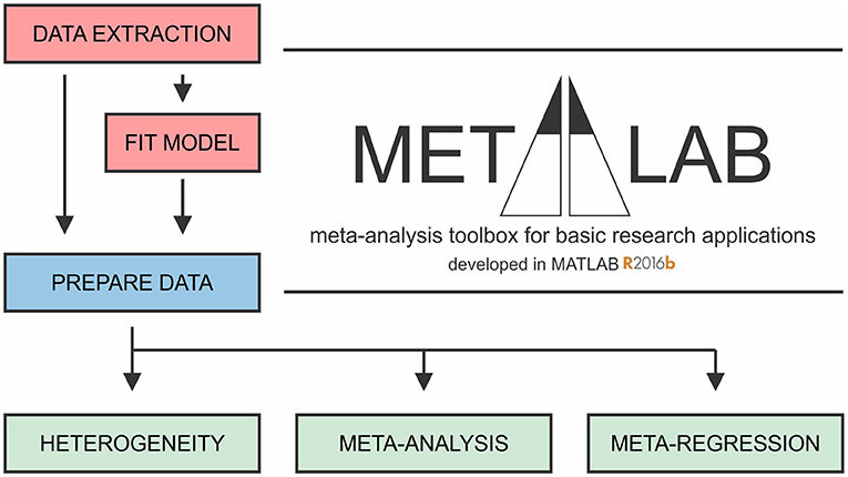 comprehensive meta analysis v2