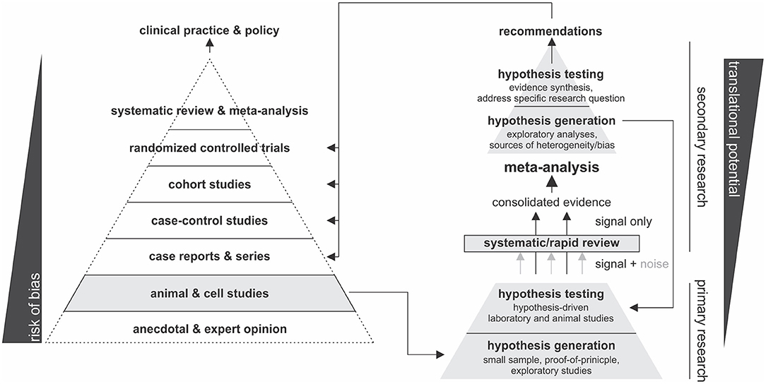 Frontiers Meta Analytic Methodology For Basic Research A Practical Guide Physiology