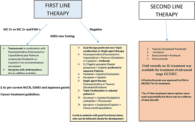 Frontiers  Emerging Therapies in the Management of Advanced-Stage Gastric  Cancer