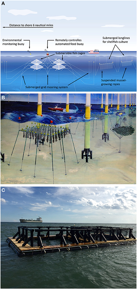 Frontiers  State of the Art and Challenges for Offshore