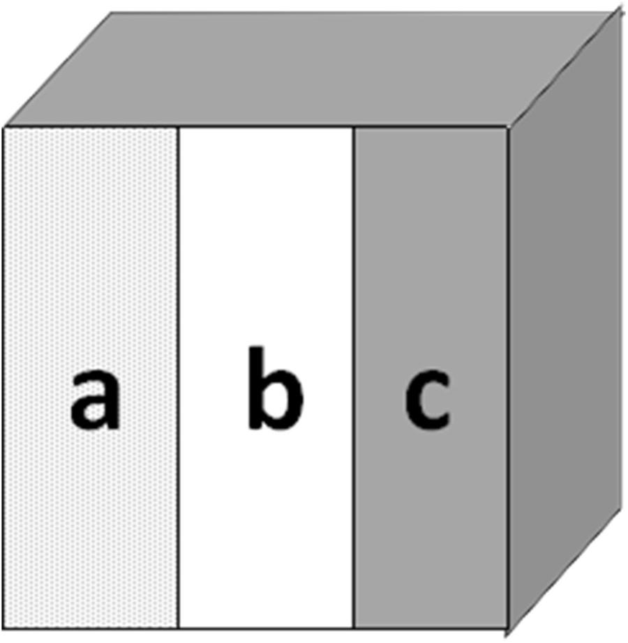 www.frontiersin.org