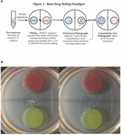 Frontiers | Caenorhabditis elegans Show Preference for Stimulants and ...