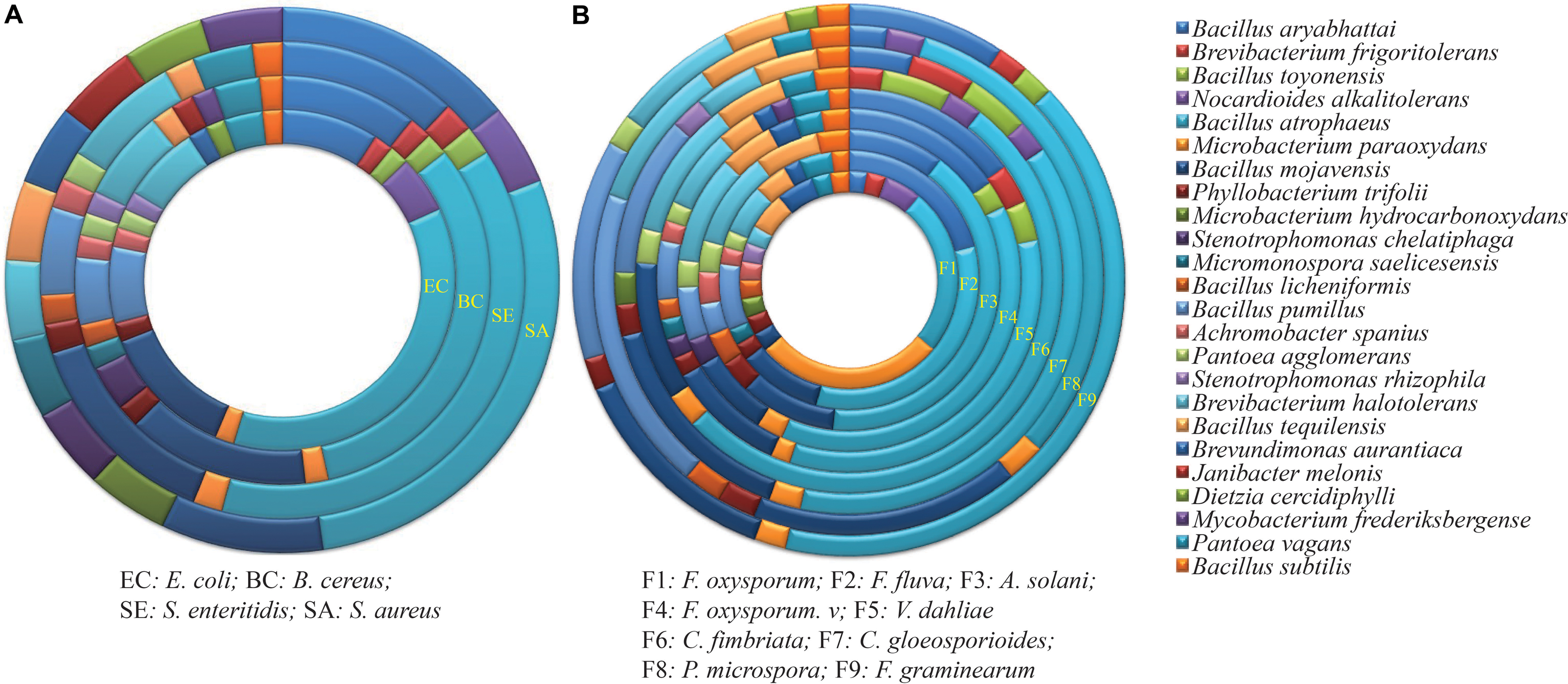 Frontiers Evaluation Of The Antimicrobial Activity Of Endophytic Bacterial Populations From Chinese Traditional Medicinal Plant Licorice And Characterization Of The Bioactive Secondary Metabolites Produced By Bacillus Atrophaeus Against Verticillium