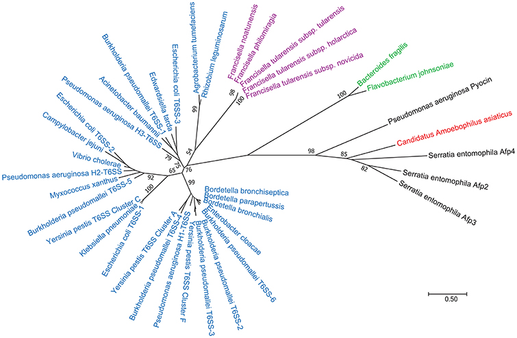 Frontiers  PdpC, a secreted effector protein of the type six