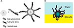 www.frontiersin.org