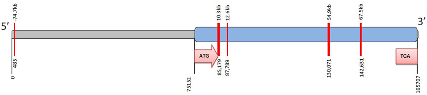www.frontiersin.org