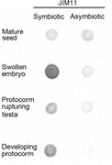 www.frontiersin.org