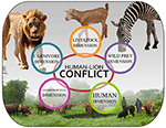 www.frontiersin.org