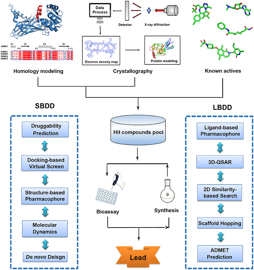 Ligand Based Drug Design Flow Chart