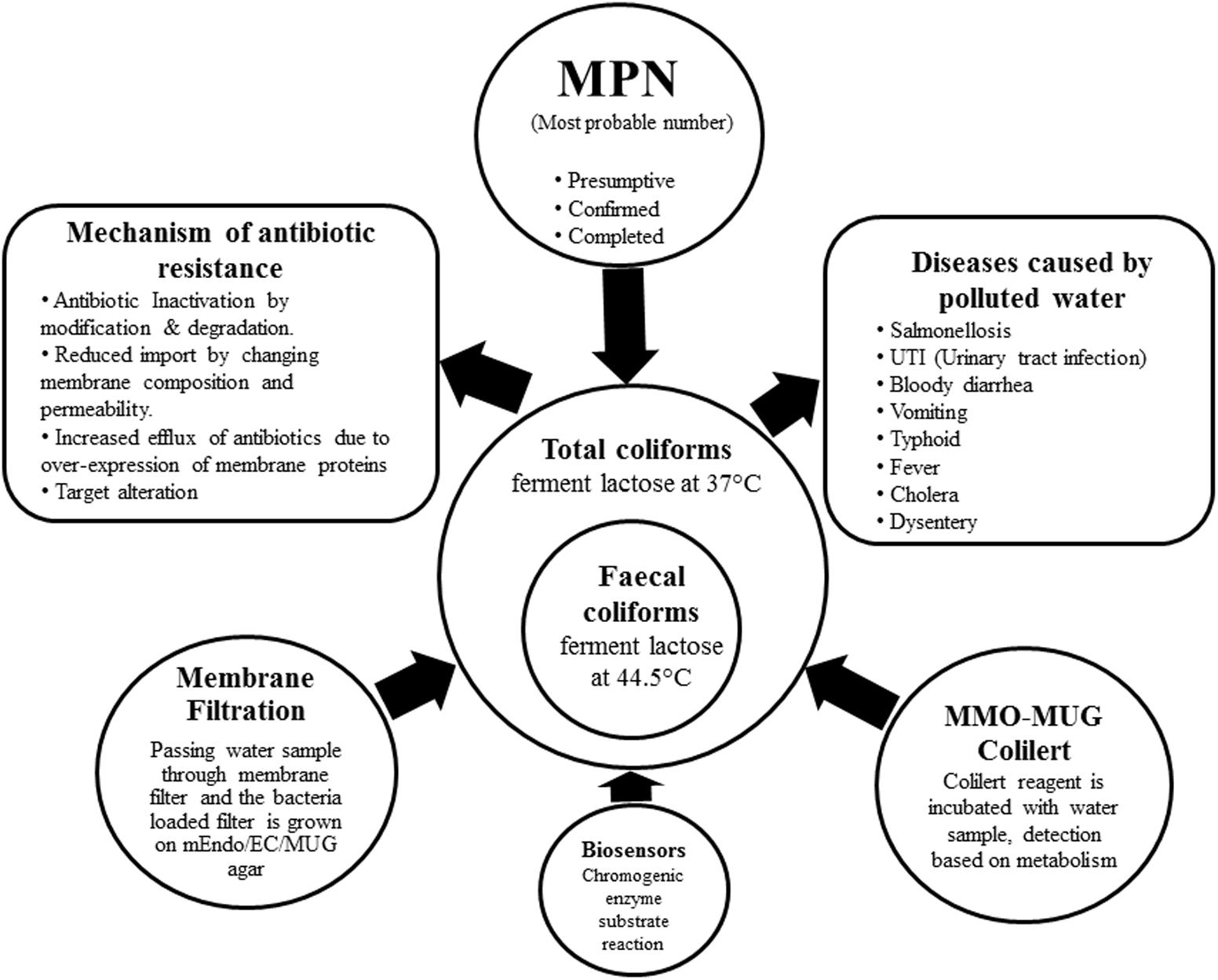 Mpn Chart For Coliforms