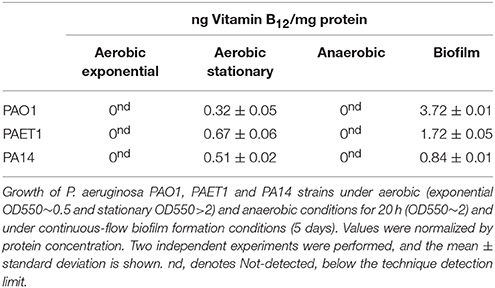 Flow Chart Of Vitamin B12 Production