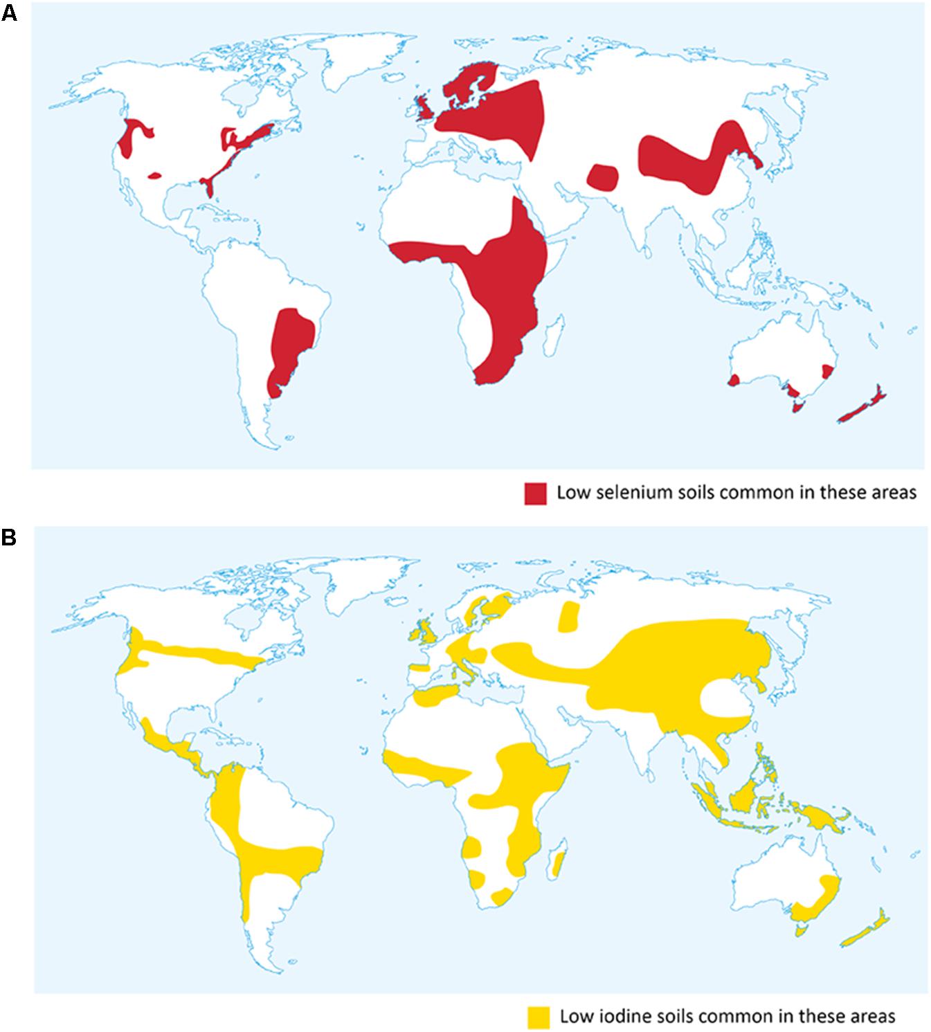 Frontiers | Biofortification of Cereals With Foliar Selenium and Iodine ...