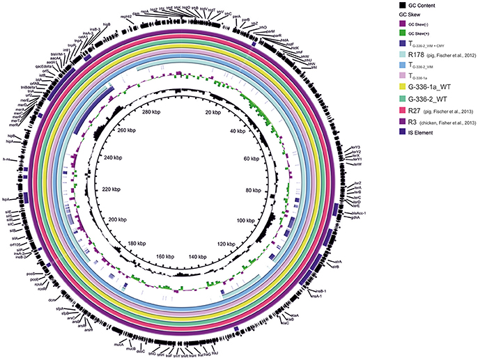 Frontiers Retrospective Analysis of Bacterial Cultures Sampled in