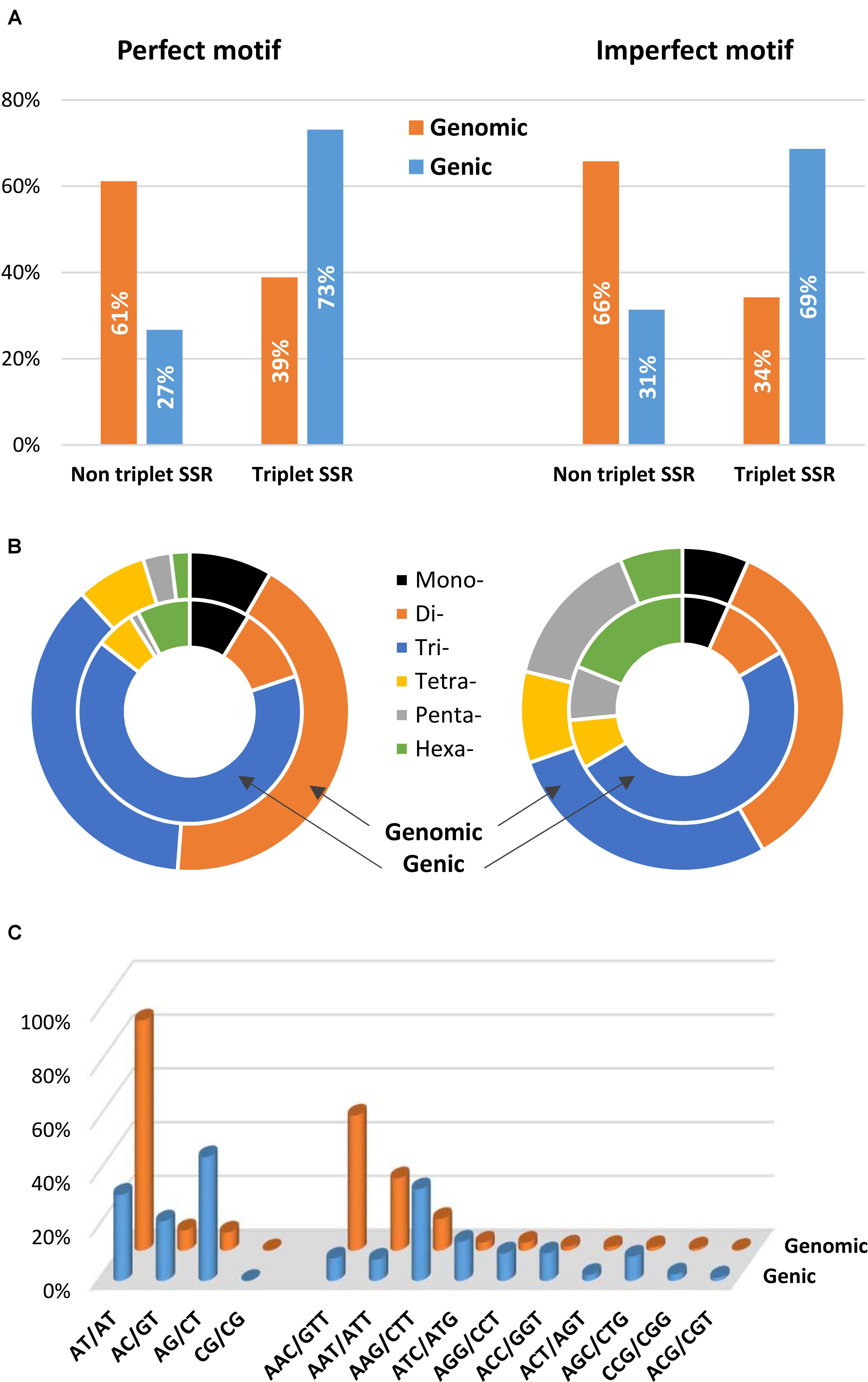 Frontiers | Comprehensive Characterization of Simple Sequence Repeats in Eggplant (Solanum ...