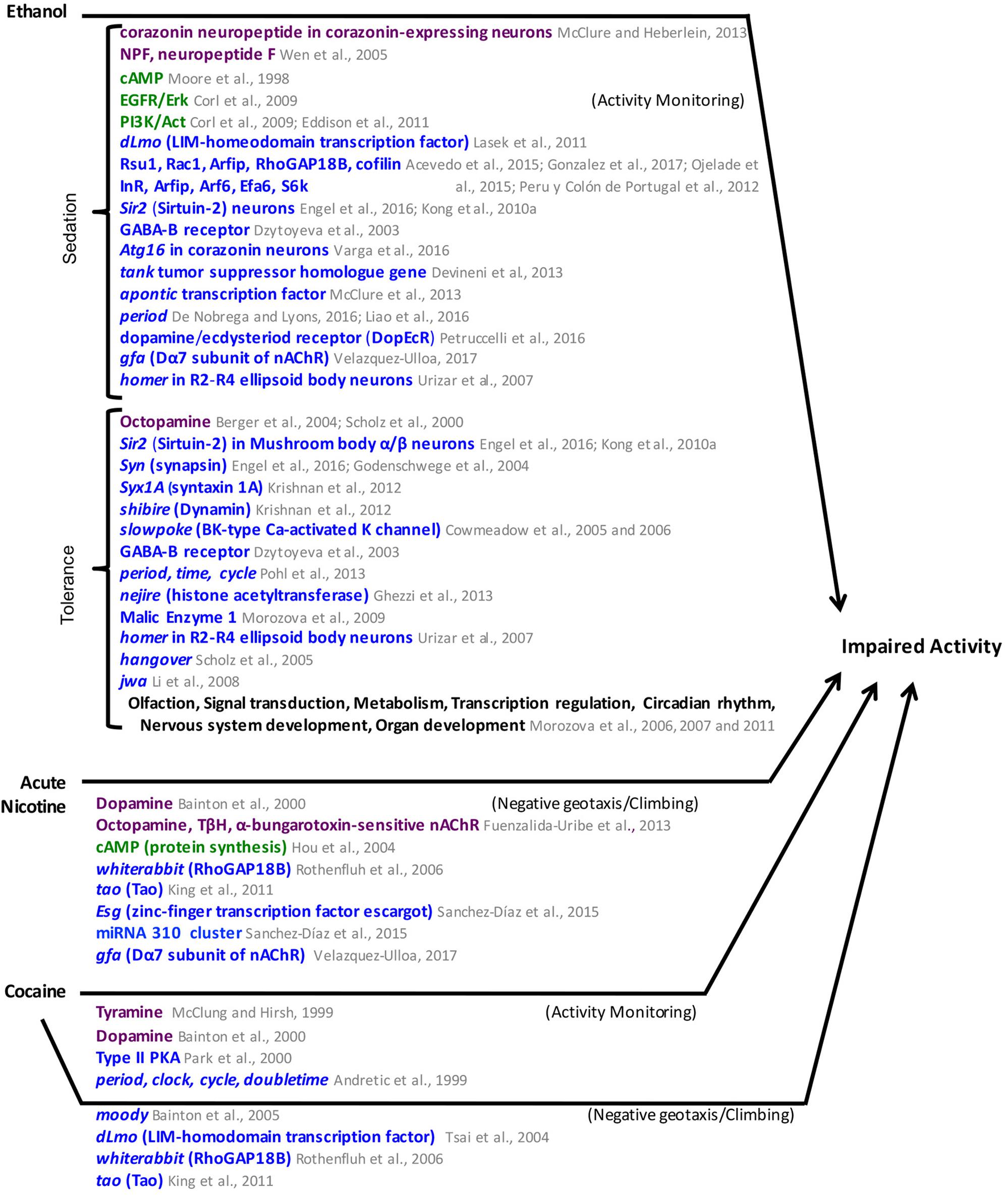 www.frontiersin.org
