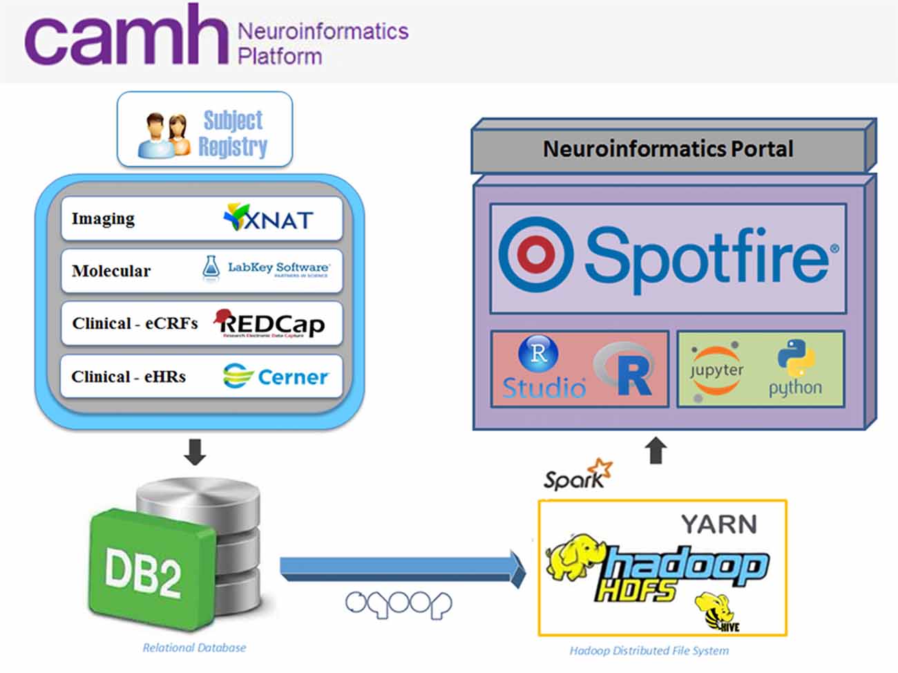 Camh Organizational Chart