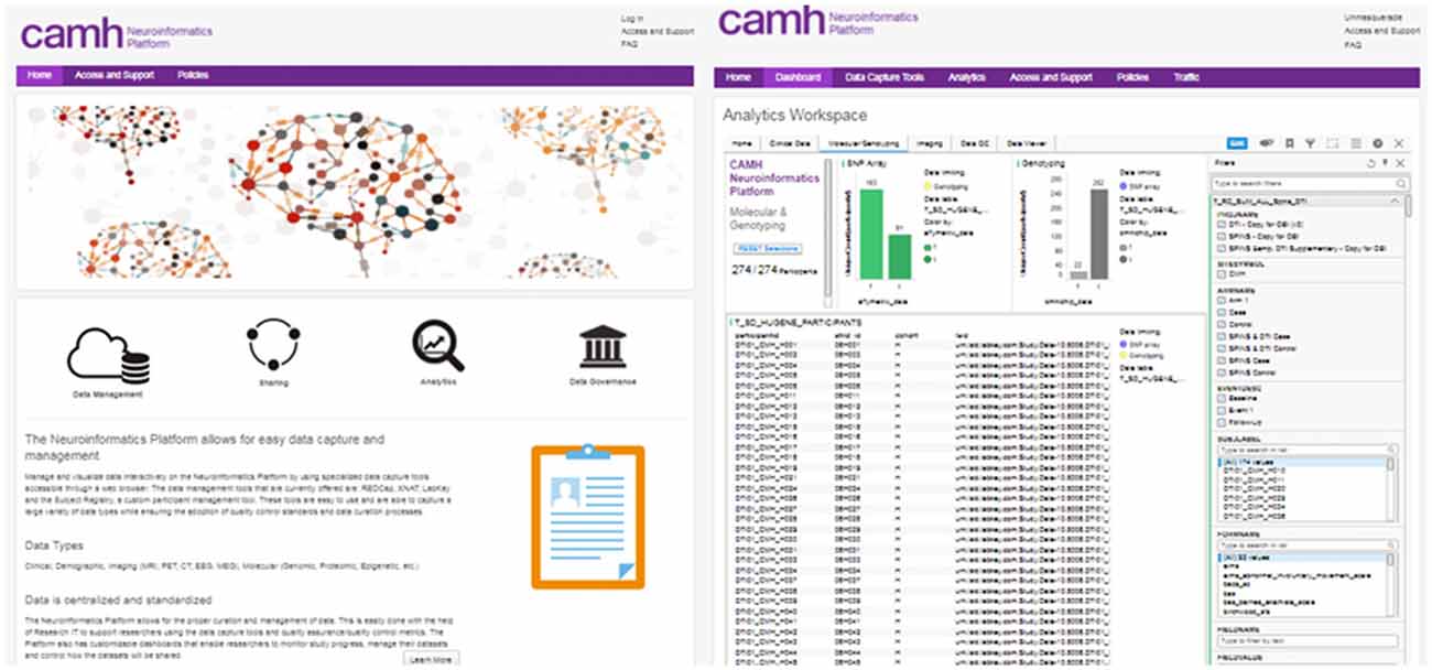 Camh Organizational Chart