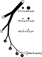 www.frontiersin.org
