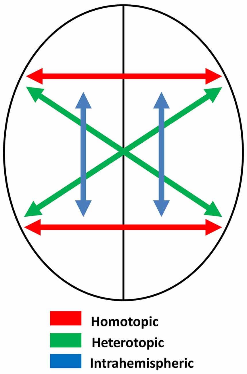 www.frontiersin.org