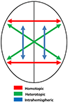 www.frontiersin.org