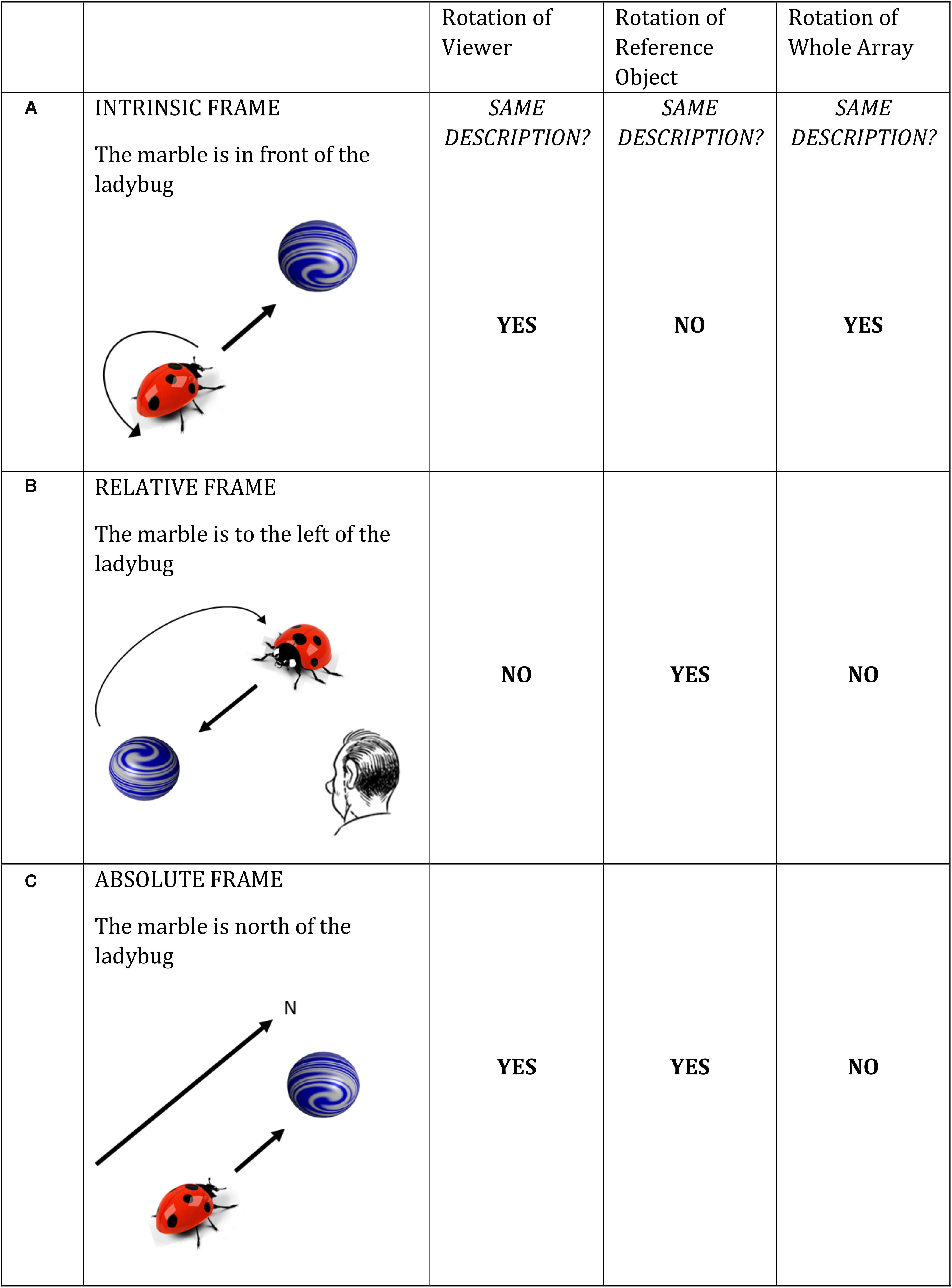 www.frontiersin.org