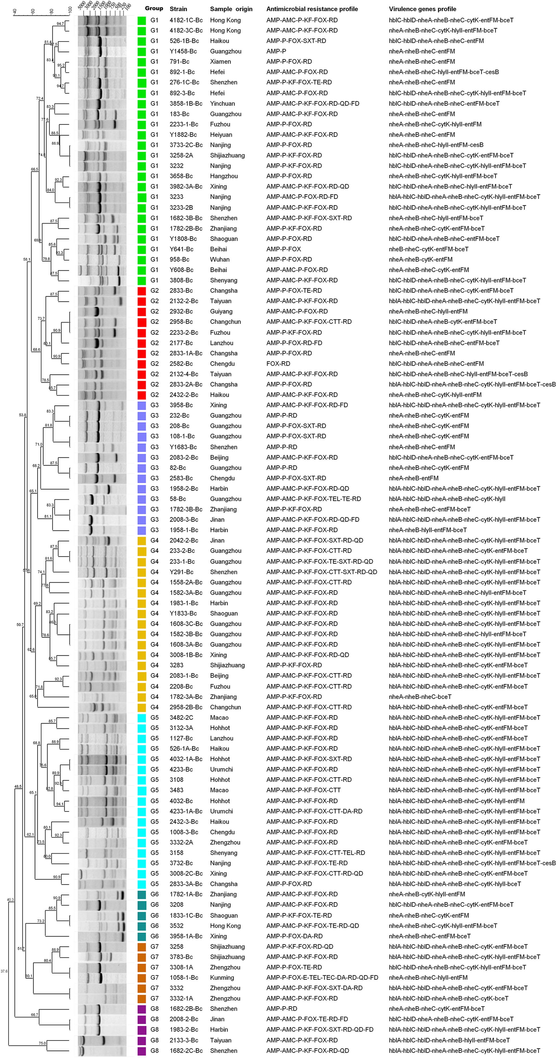 Bacterial Susceptibility Chart